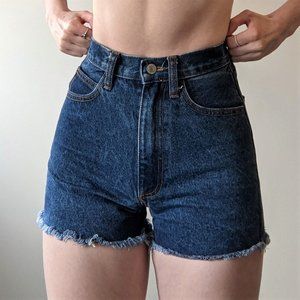 Brandy Melville Denim Shorts